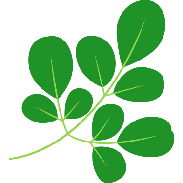 100% Ayurvedic & Natural Formulations icon