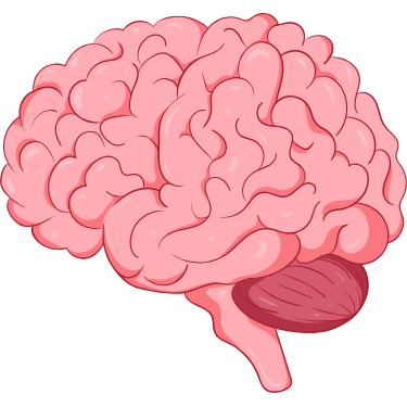 Holistic Approach to Sexual Wellness icon