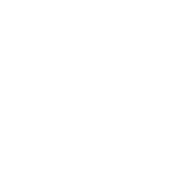 Secure Payment icon